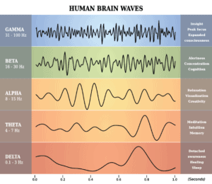 A diagram of human brain waves showing gamma beta alpha and delta A diagram of human brain waves showing gamma beta alpha and delta