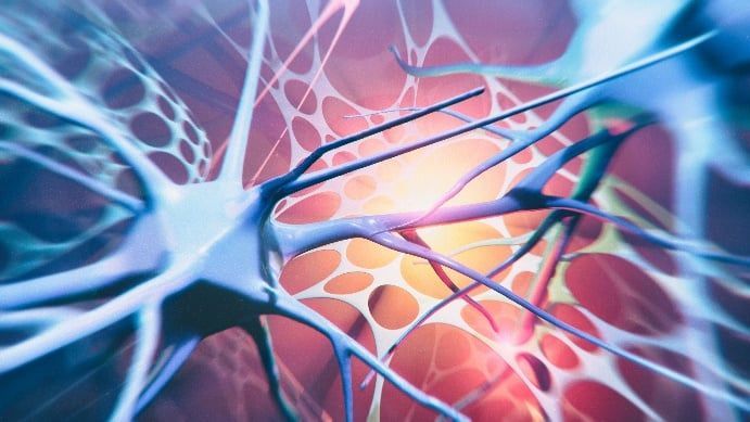 A close up of a brain cell with a light coming out of it A close up of a brain cell with a light coming out of it
