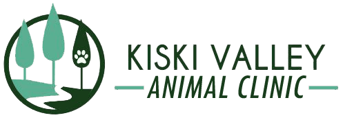 Kiski Valley Animal Clinic