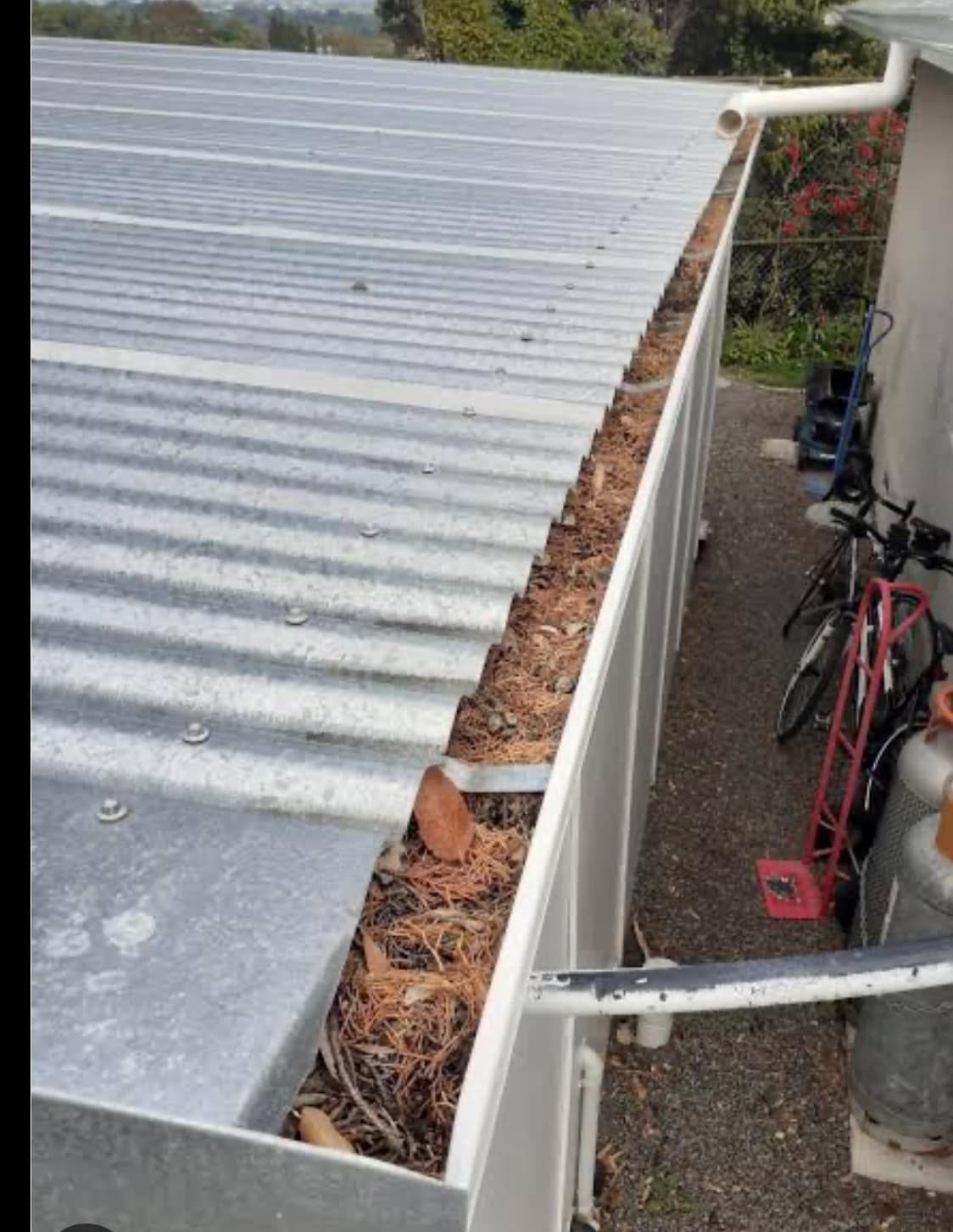 A gutter with leaves coming out of it is on the side of a building.
