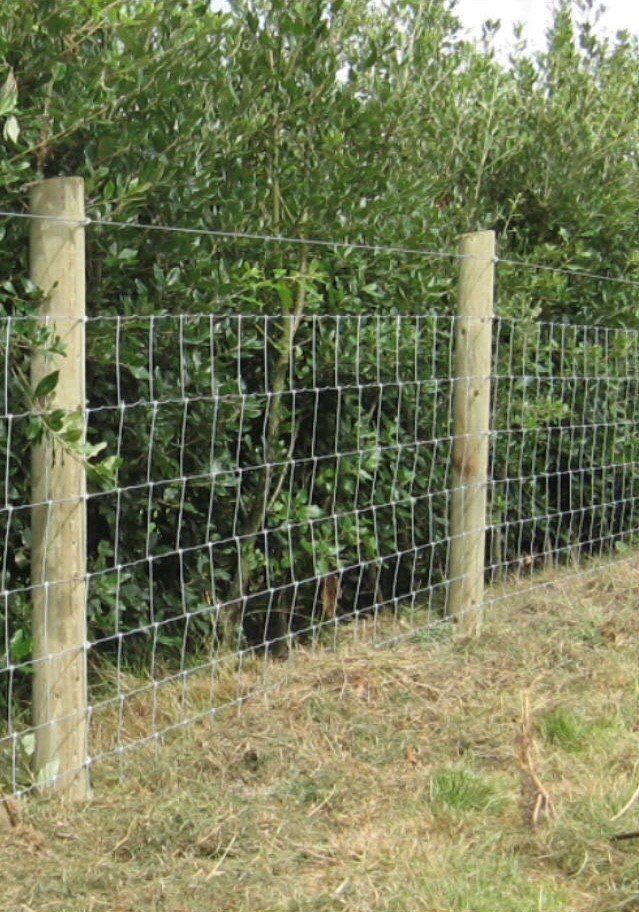 wire and mesh fencing for garden