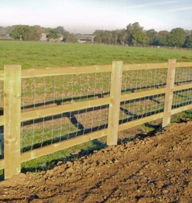 spilt rail fence with mesh