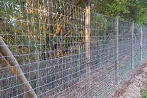wire and mesh fencing for added security