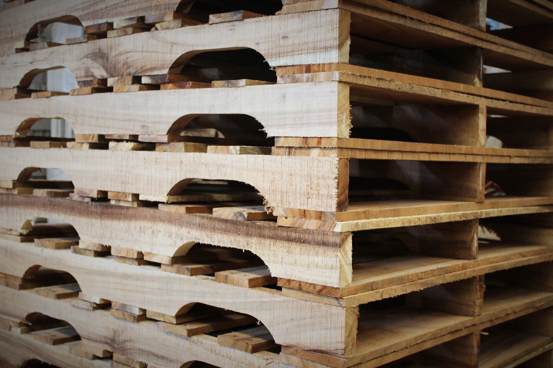 Maderas Nacionales sas