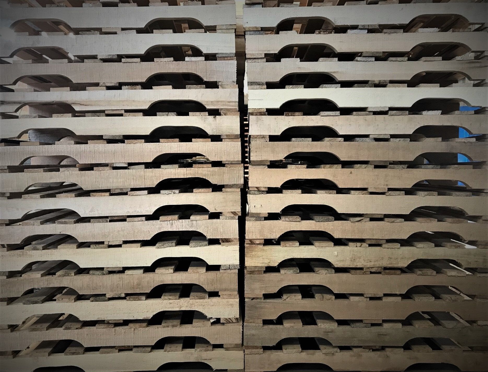 Maderas Nacionales sas