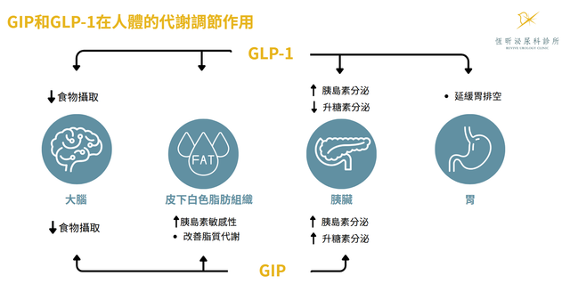 which glp 1 is safest for weight loss GLP-1 Drugs from the Gray Market which glp 1 is safest for weight loss GLP-1 Drugs from the Gray Market