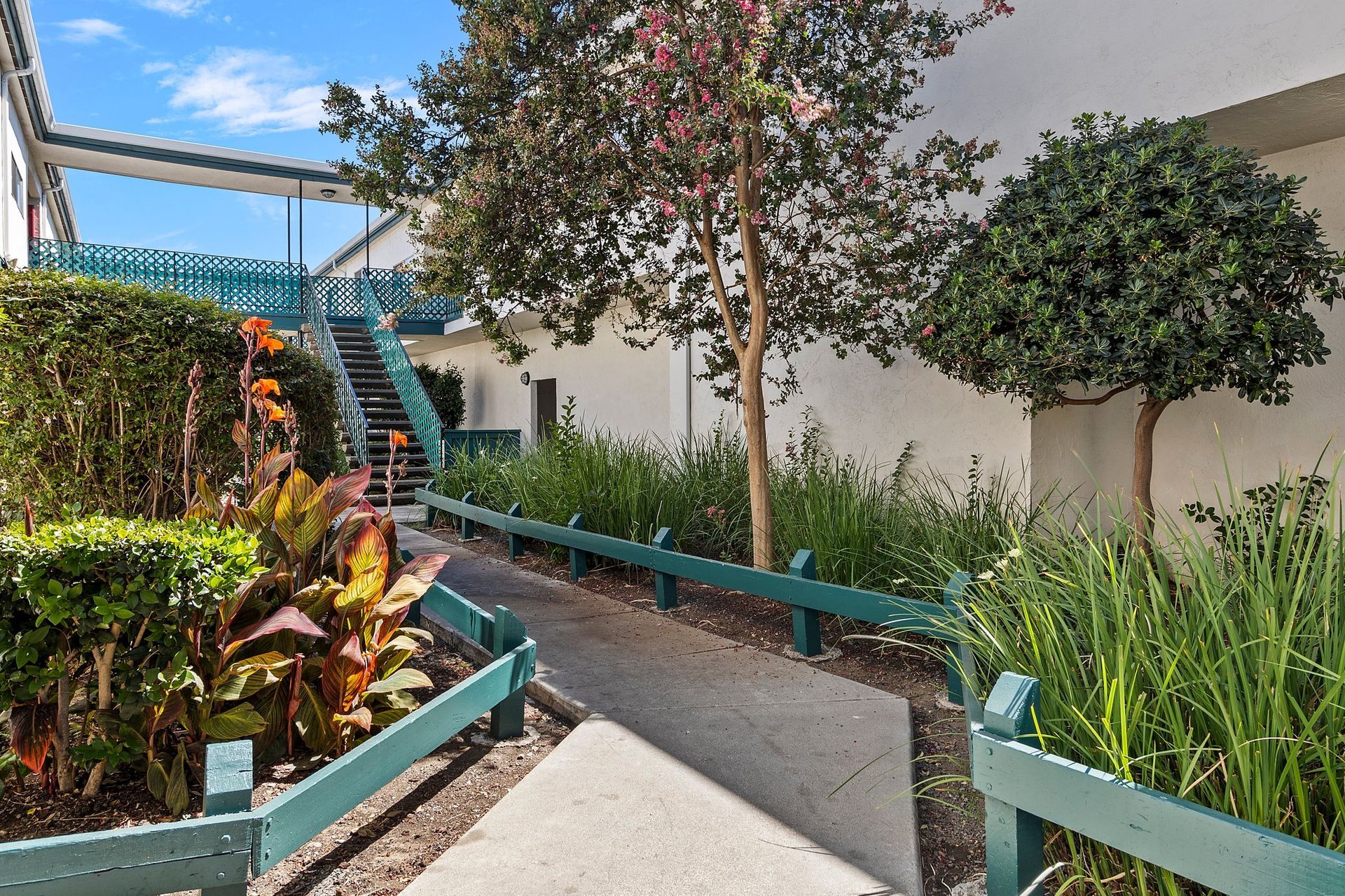 A concrete walkway winds through a courtyard with green plants, trees, and a teal wooden fence under a blue sky at Whispering Oaks in Concord, CA.