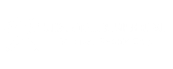 Socal Mobile Bumper Repair