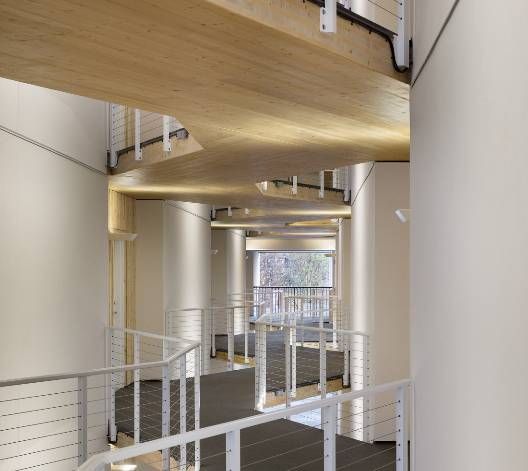 Interior view of a modern building hallway with wooden beams, white walls, and metal railings.