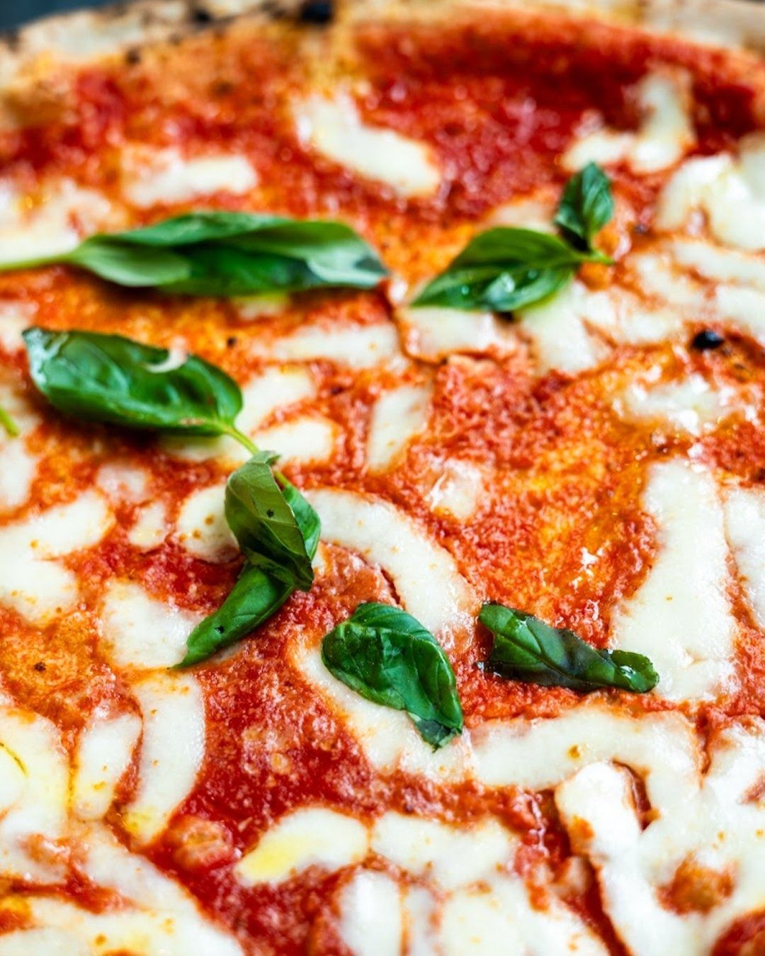 Pizza con salsa rossa, mozzarella bianca e foglie verdi di basilico.