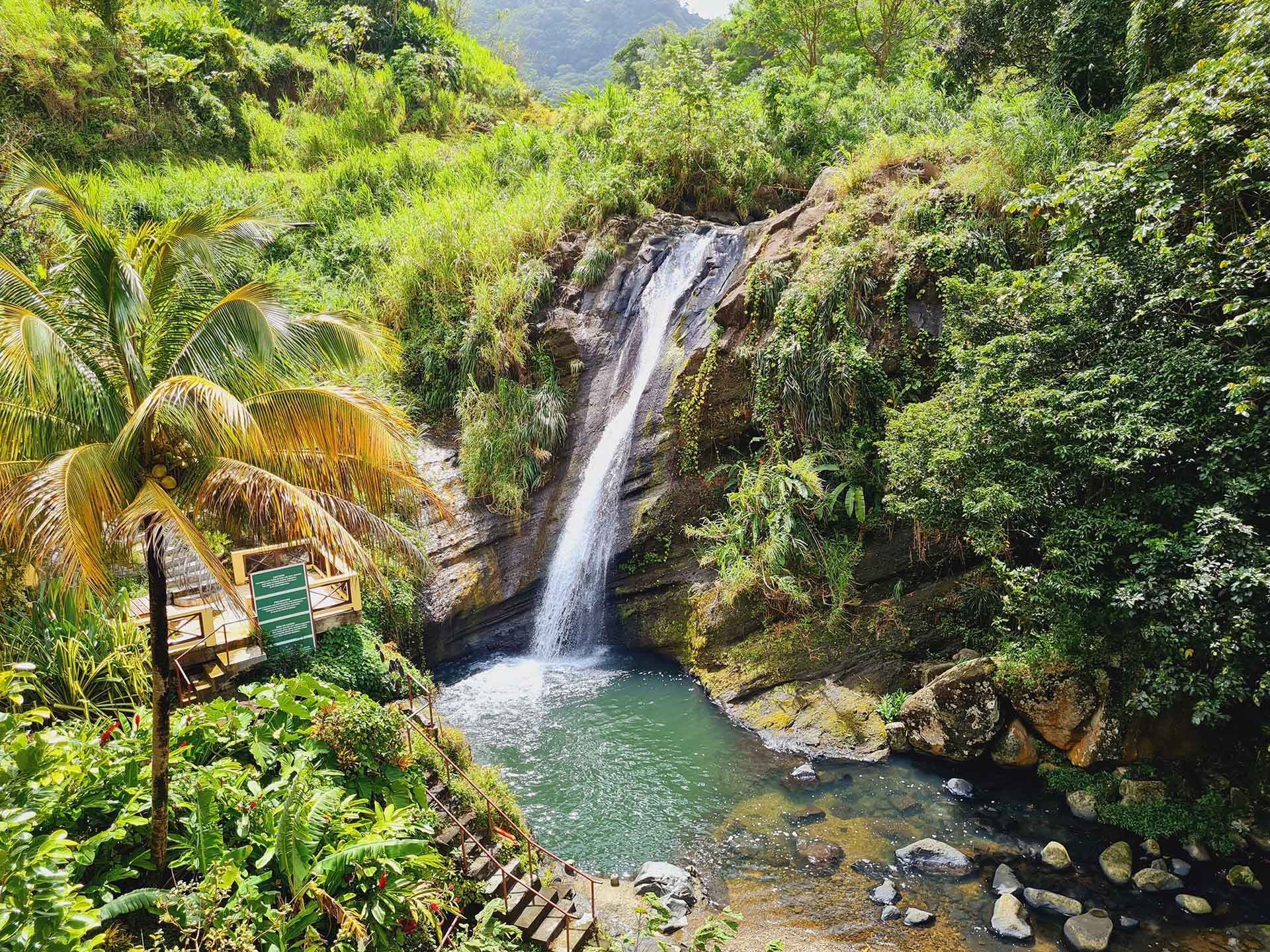 A waterfall in the middle of a lush green forest surrounded by trees.