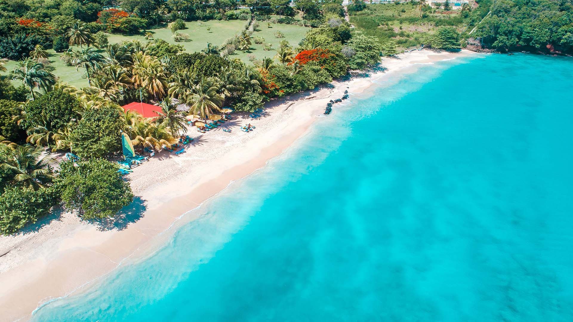 An aerial view of a tropical beach with palm trees and turquoise water.