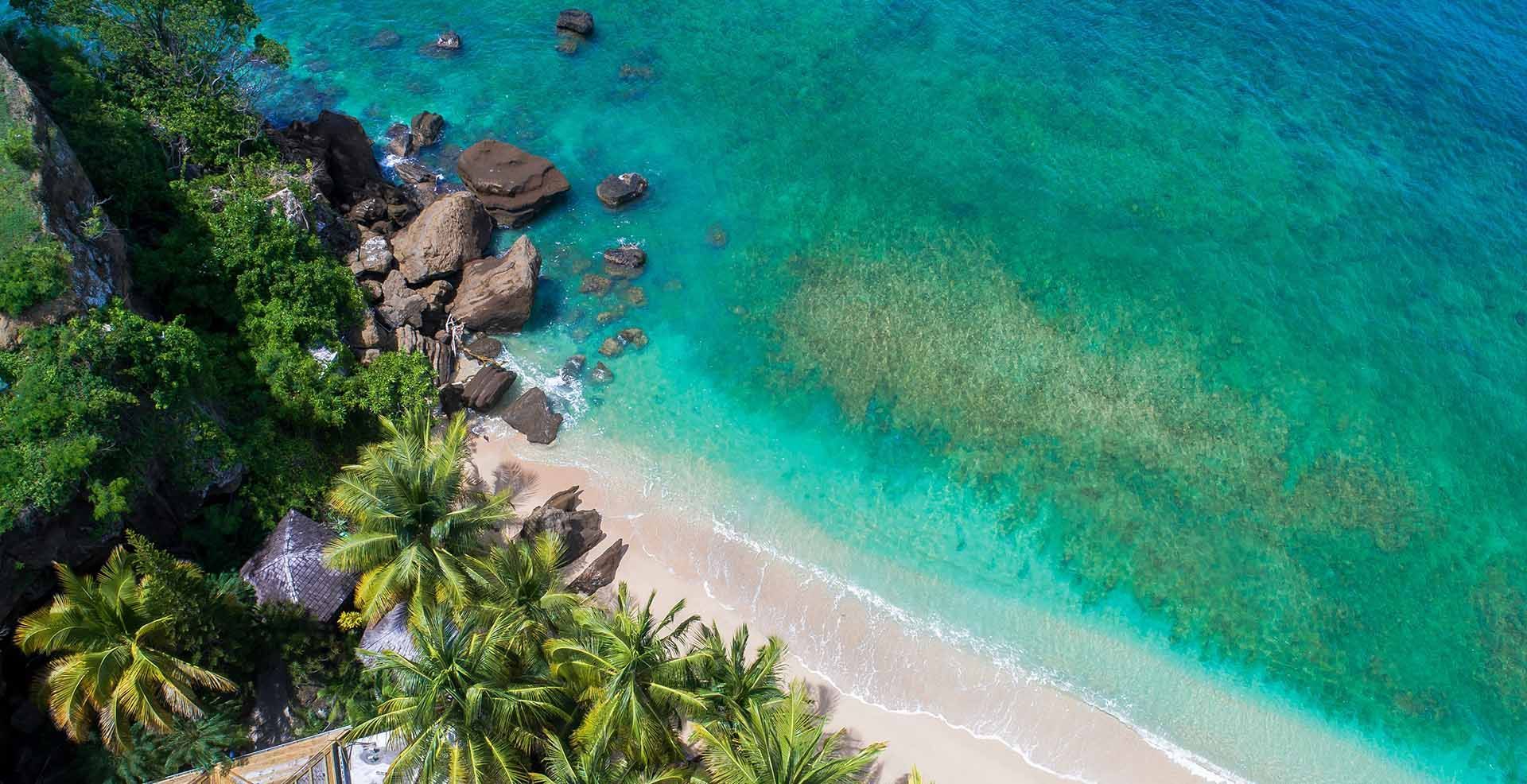 An aerial view of a tropical beach with palm trees and turquoise water.