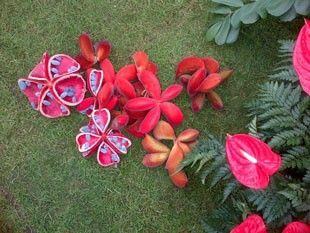 Grenada wins its 10th Gold Medal
