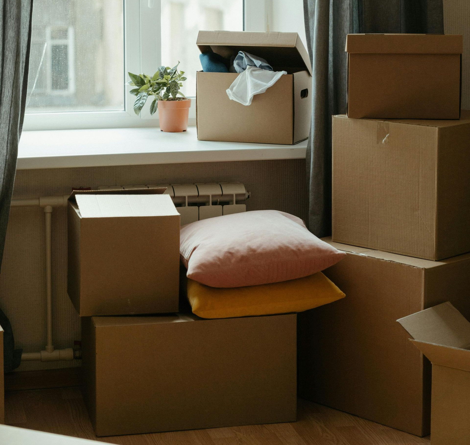 a living room with a couch , chair , coffee table and plant .