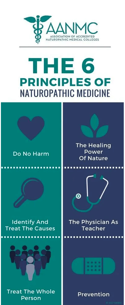 Principles of Naturopathic Medicine