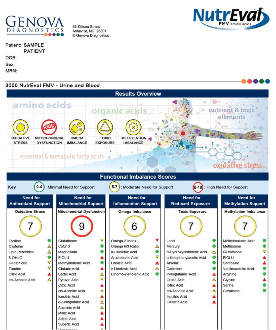 naturopathic medicine micronutrient test report 1