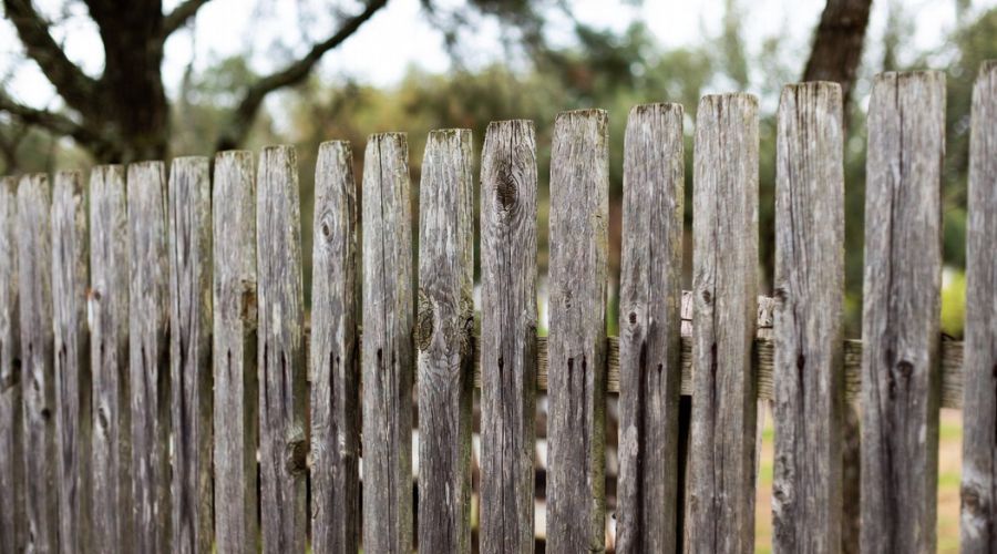 A close-up view of a weathered, grey wooden picket fence set against a blurred background of trees.