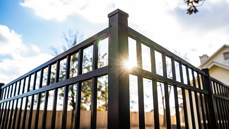 The sun is shining through the bars of a black fence.