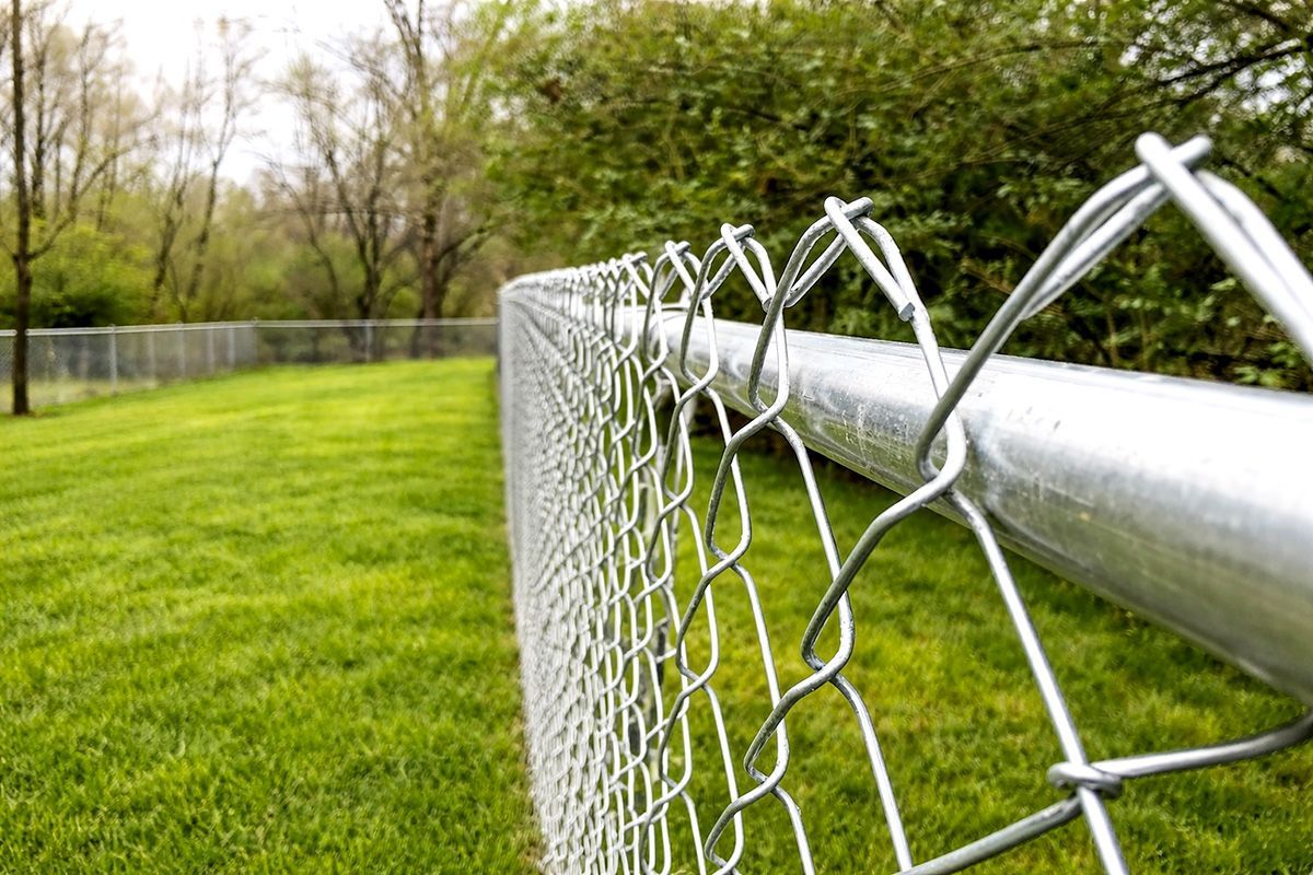 A chain-link fence running through a green, grassy area with trees in the background.