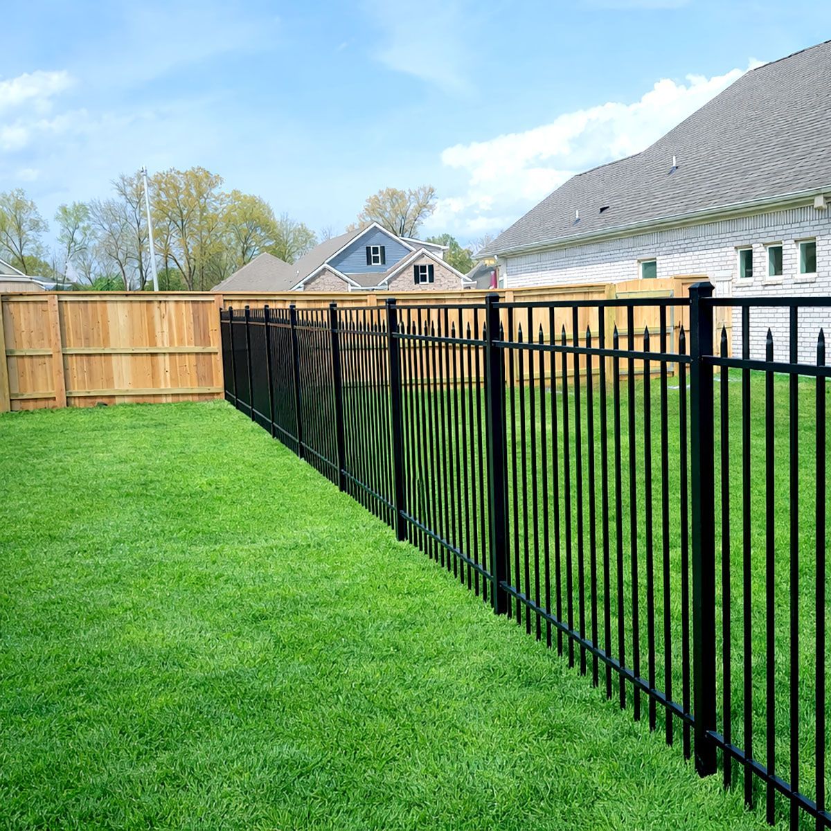 A backyard showing a black metal fence transitioning into a wood privacy fence on a sunny day with green grass.