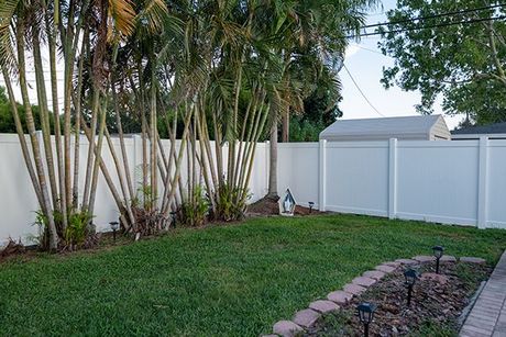 A backyard with a white fence and palm trees.