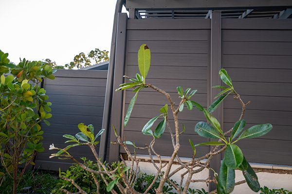 A fence with a tree in front of it