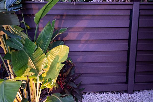 A purple fence with a plant in front of it.