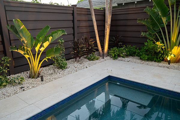 A swimming pool surrounded by plants and a wooden fence