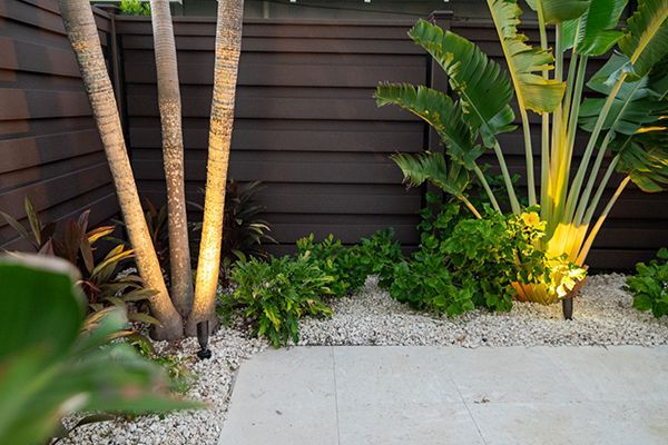 A garden with a fence , plants , and a few lights.
