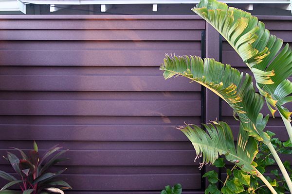 A purple fence with a plant in front of it.