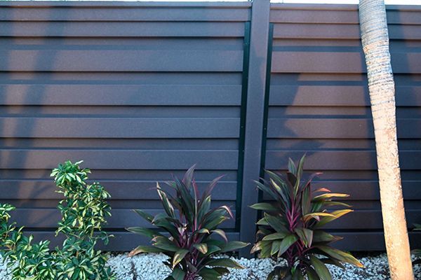 A black fence with plants in front of it and a palm tree.