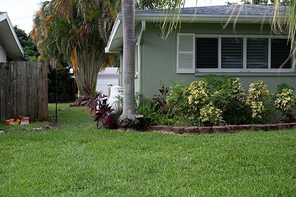 A green house with a lush green lawn in front of it