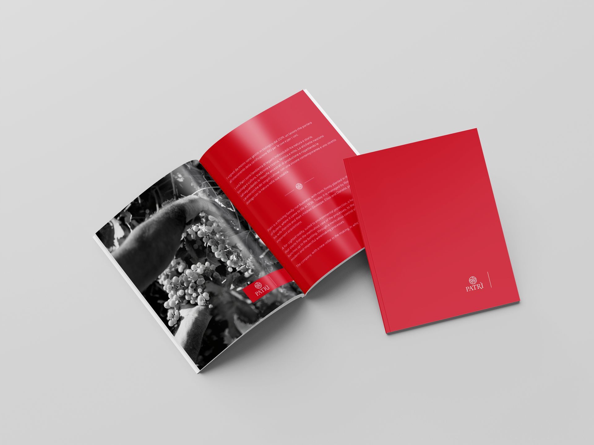 stampa digitale brochure mockup