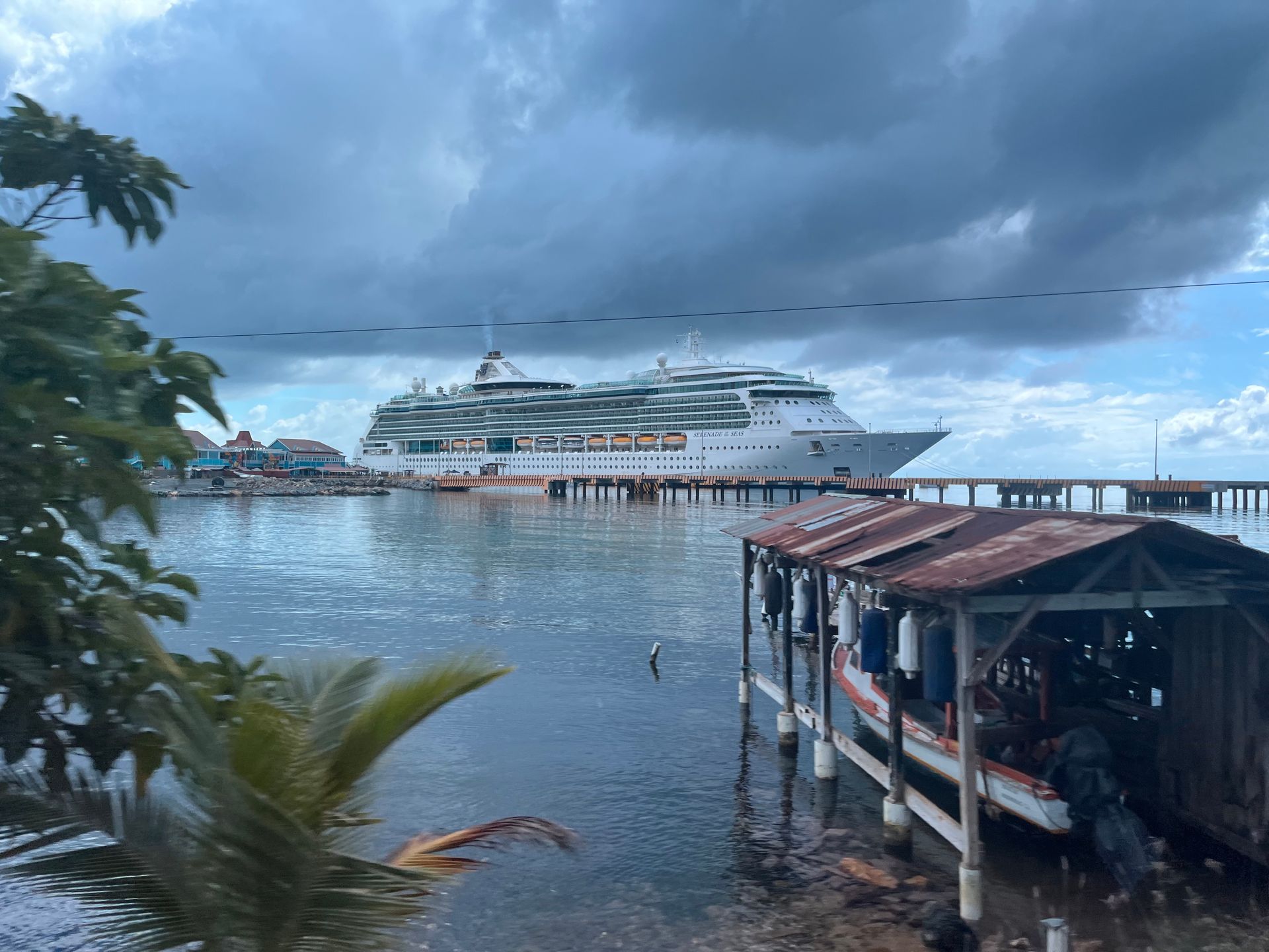 Cruise ship docked at pier under a cloudy sky. Small wooden shack in foreground, palm tree leaves on the left.