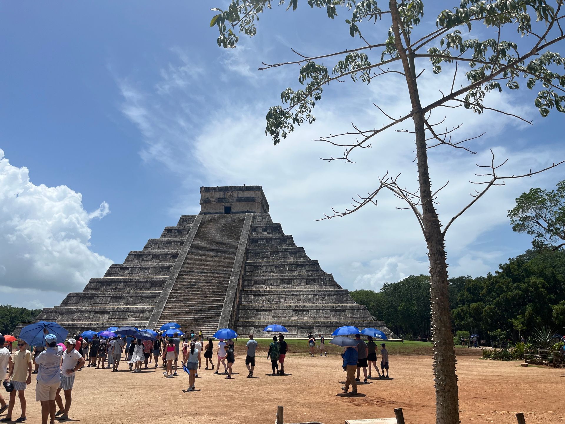 Chichen Itza pyramid under a blue sky, with tourists, and a tree in the foreground.