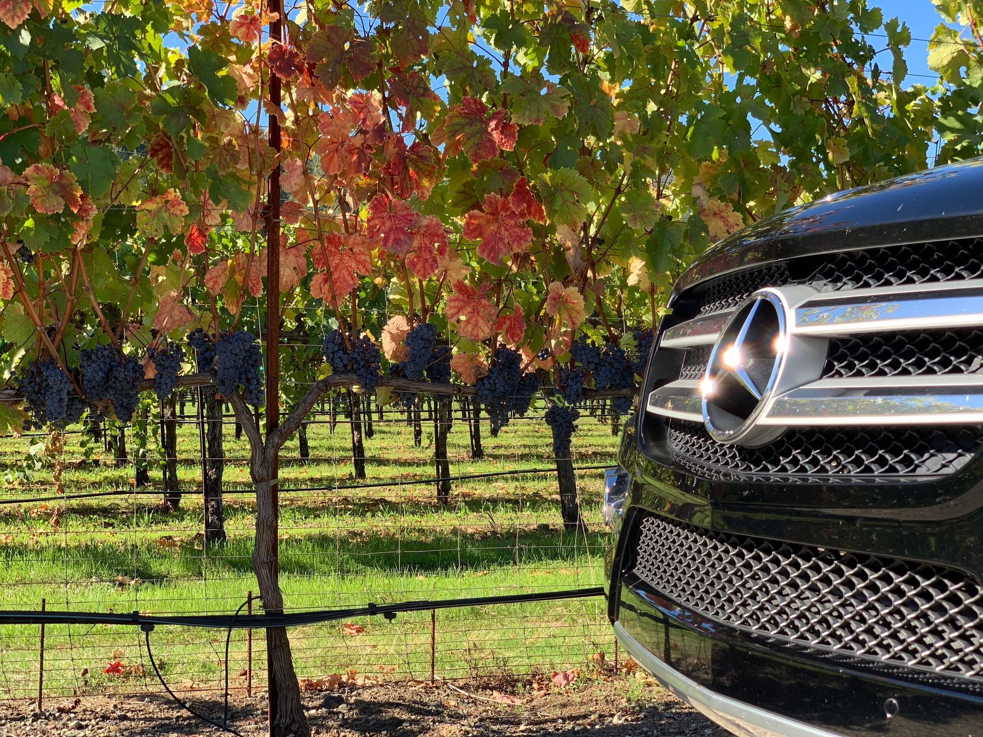 May 2024 Mother's Day Gift Ideas - weekend Getaway-The Caroline K. Huo Group