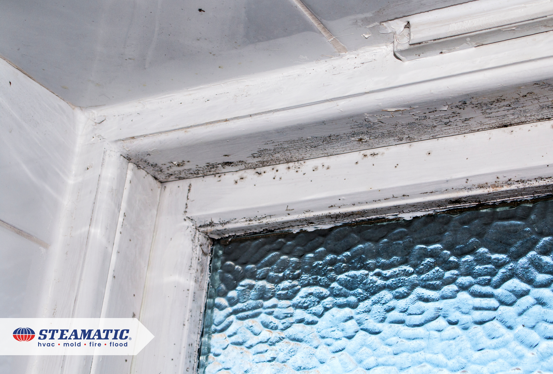 How Humidity Affects Mold Growth in Your Home