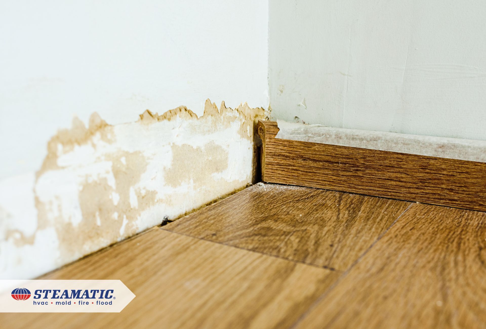 Quick Guide to Water Damage: What Every Homeowner and Business Should Know