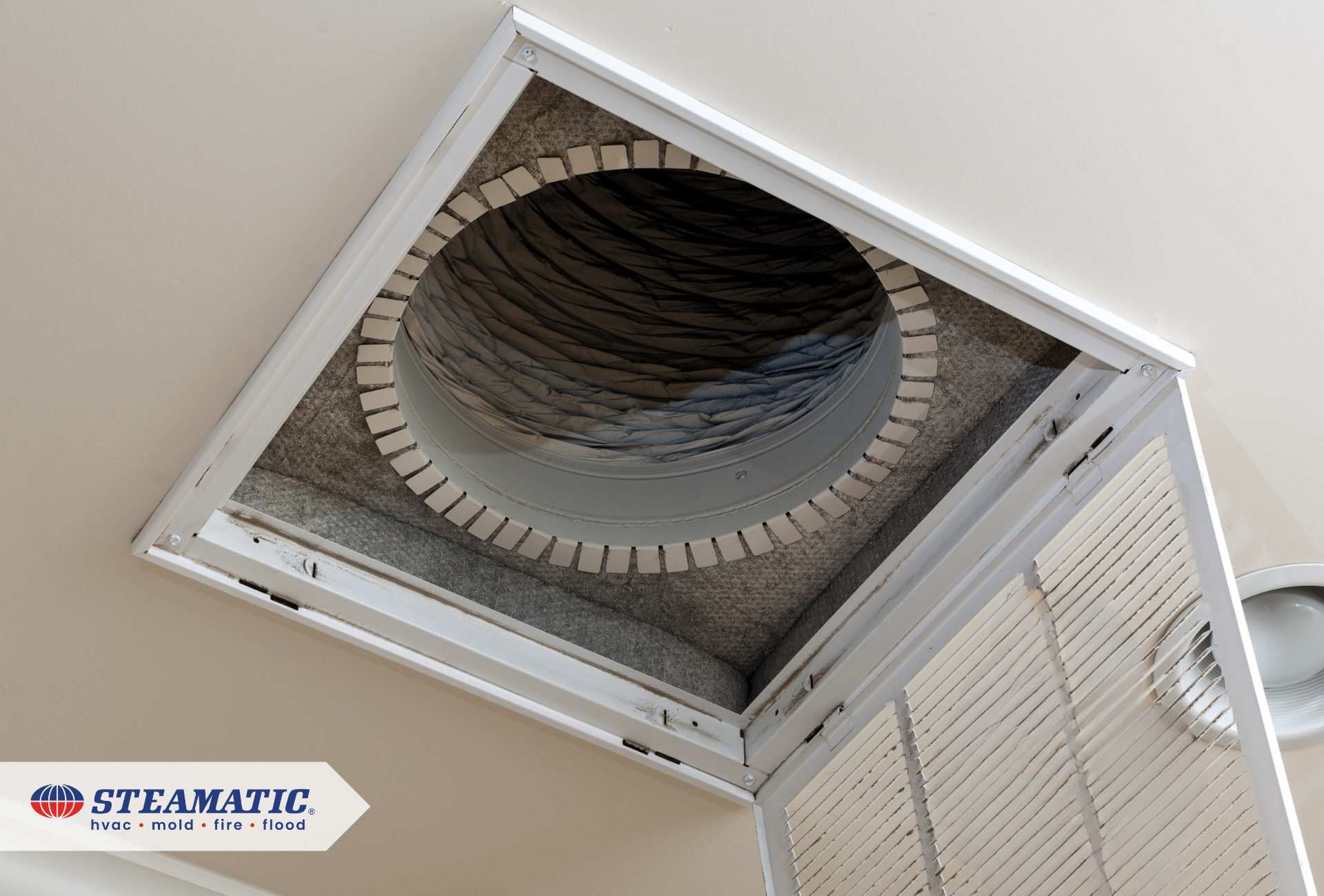 Spring Cleaning: The Link Between Seasonal Allergies and Air Duct Cleaning