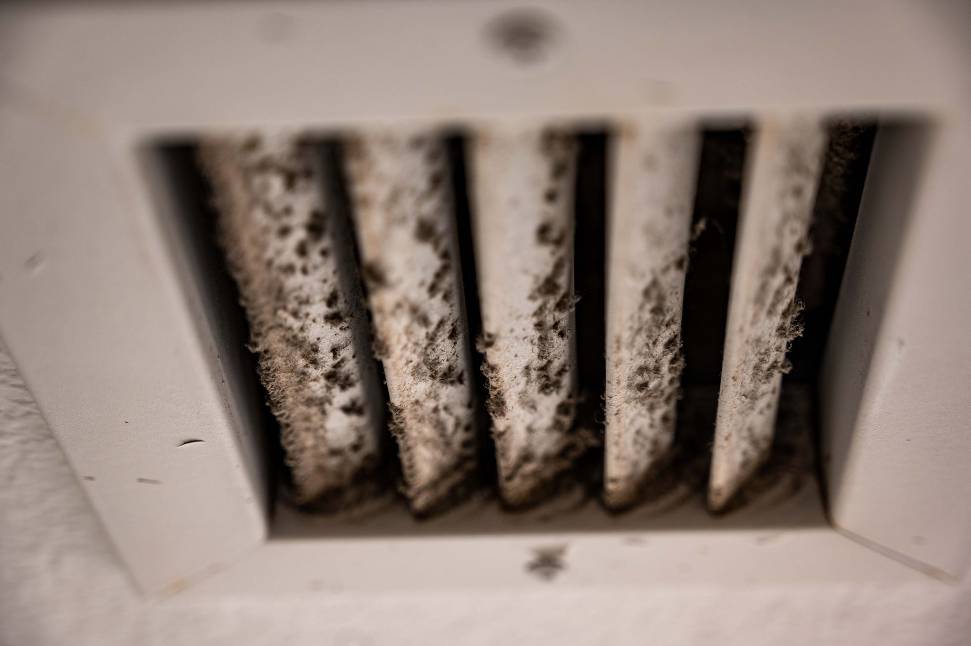 How to Combat Mold in Your Vents
