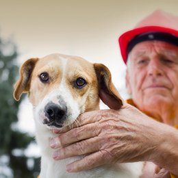 Vet Near Me — Emergency in Redmond, OR