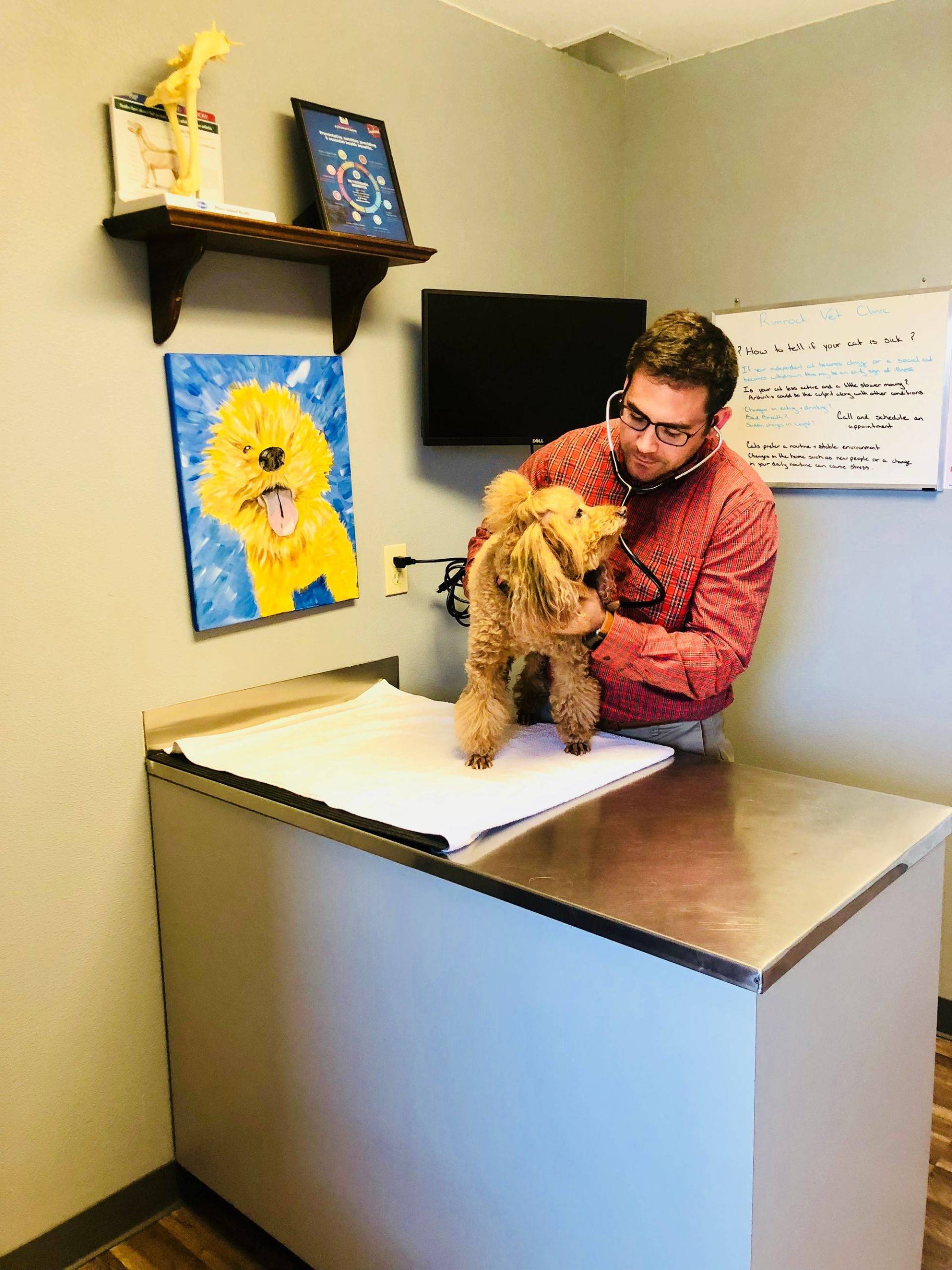 Dog Check Up — Redmond, OR — Rimrock Veterinary Clinic​​