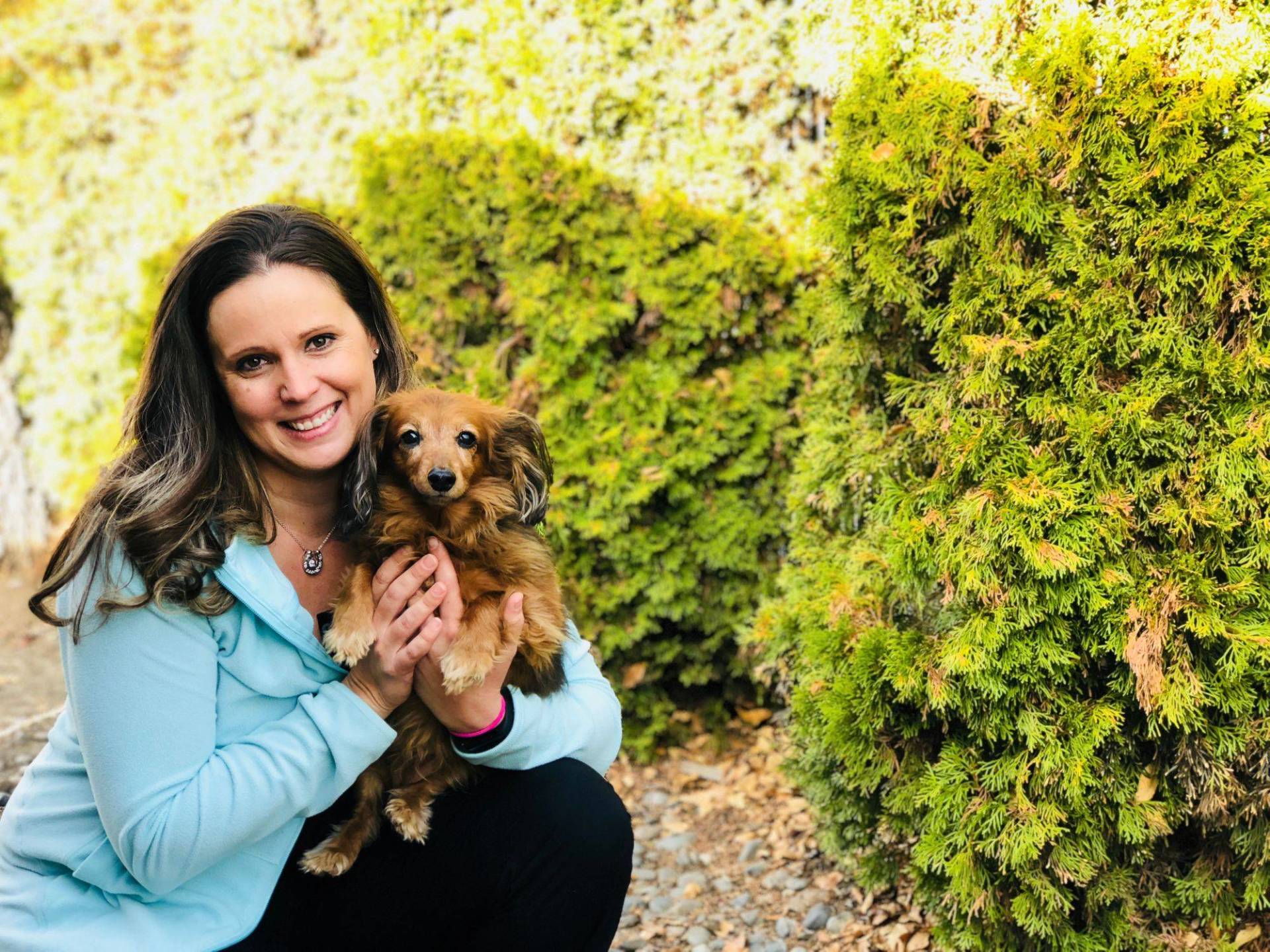 Animal Hospital Redmond, OR Rimrock Veterinary Clinic