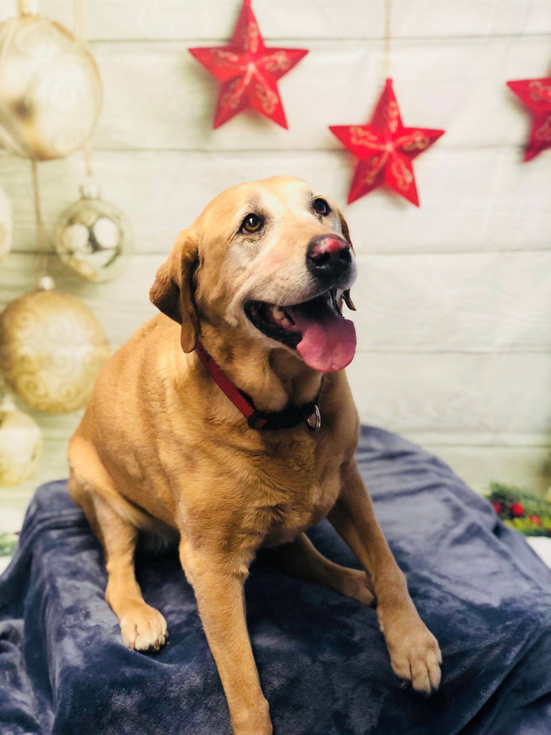 Animal Hospital Redmond, OR Rimrock Veterinary Clinic