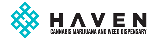 Haven logo with a teal, diamond-shaped geometric design and the word HAVEN in teal.