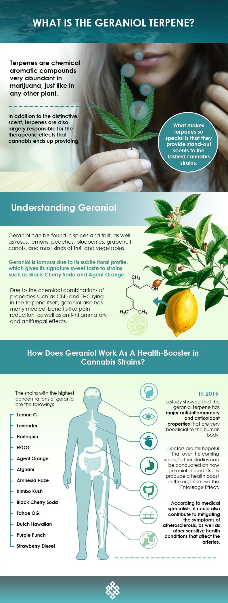 Geraniol Terpene