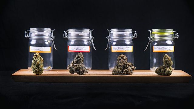 Cannabis Products for Beginners