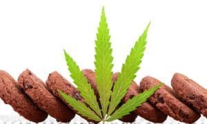 cannabis cookies