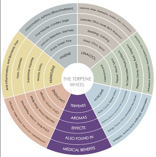 terpene wheel